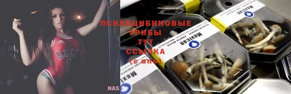 крисы Абинск