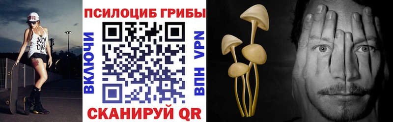 закладки  Комсомольск-на-Амуре  Галлюциногенные грибы Psilocybe 