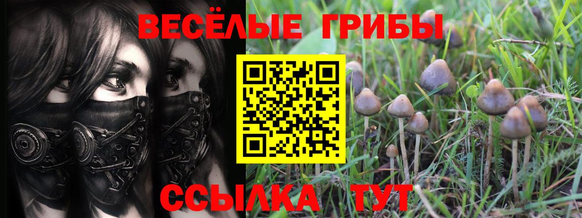 Галлюциногенные грибы Cubensis  Вход с VPN  где можно купить наркотик  Комсомольск-на-Амуре  Псилоцибиновые грибы Psilocybine cubensis 